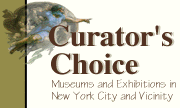 Curator's Choice: International