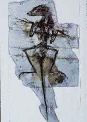lm01052c.jpg
